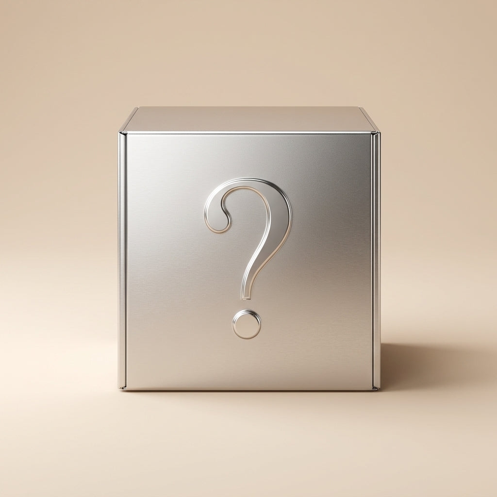 Silver Mystery Box